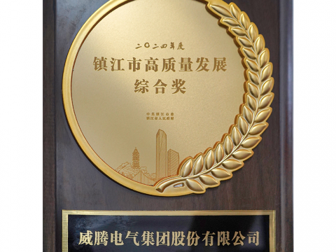 喜讯│sunbet平台官网入口荣获2024年度镇江市高质量发展综合奖