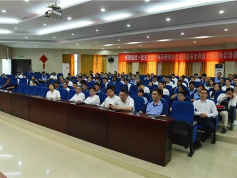 sunbet集团“十佳安全生产标兵”表彰暨安全月活动培训会隆重举行