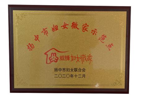 sunbet平台官网入口集团喜获扬中市级妇女微家示范点